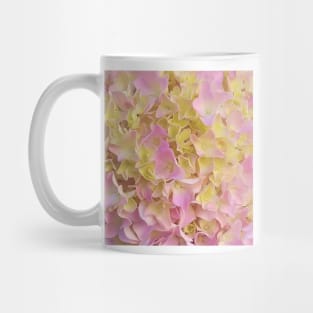 Yellow and Rose French Hydrangea Close Up Mug